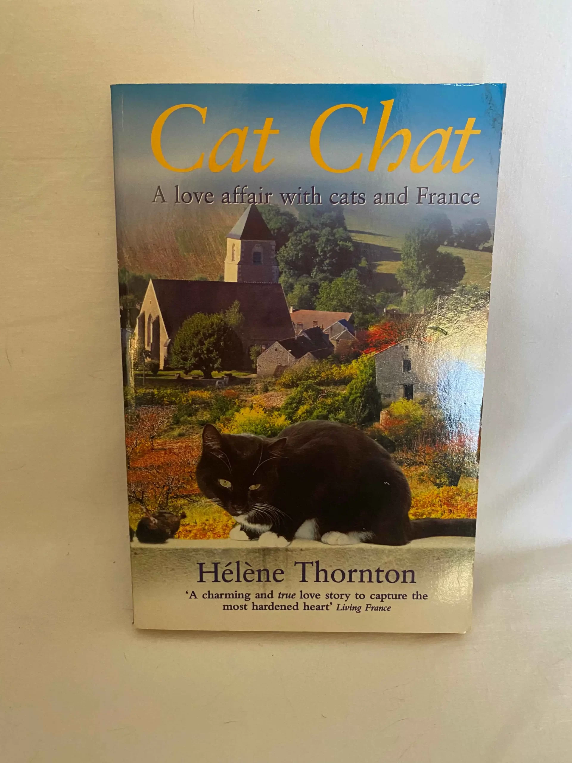 Cat Chat By Helene Thornton