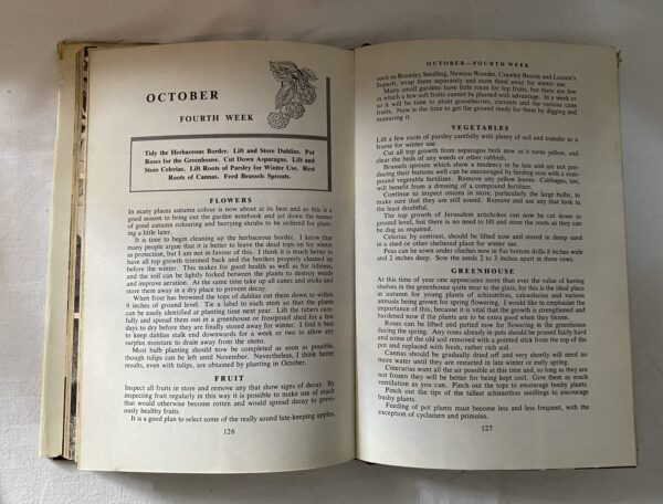 In your GARDEN with PERCY THROWER - Image 7