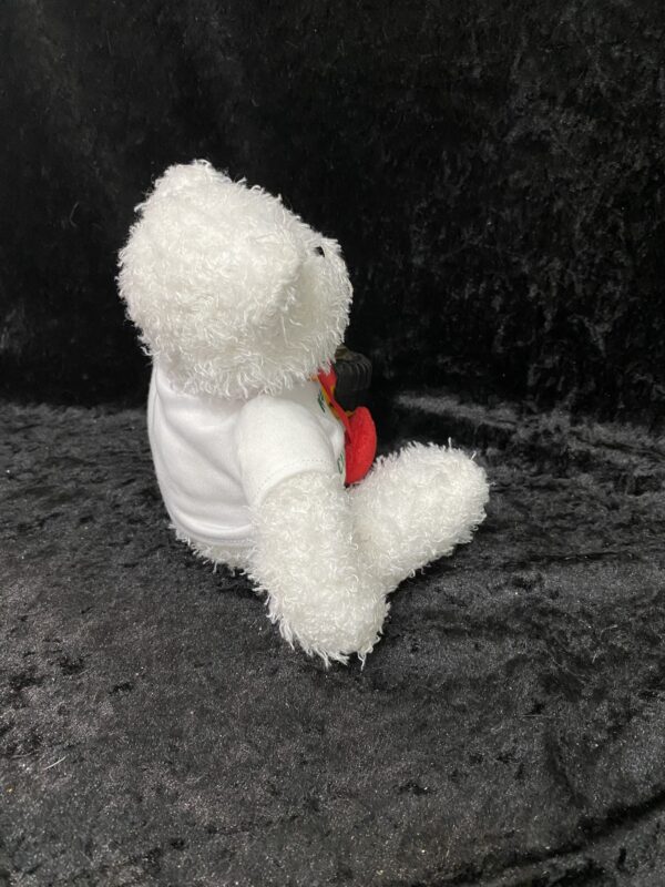 Teddy Bear - Image 5