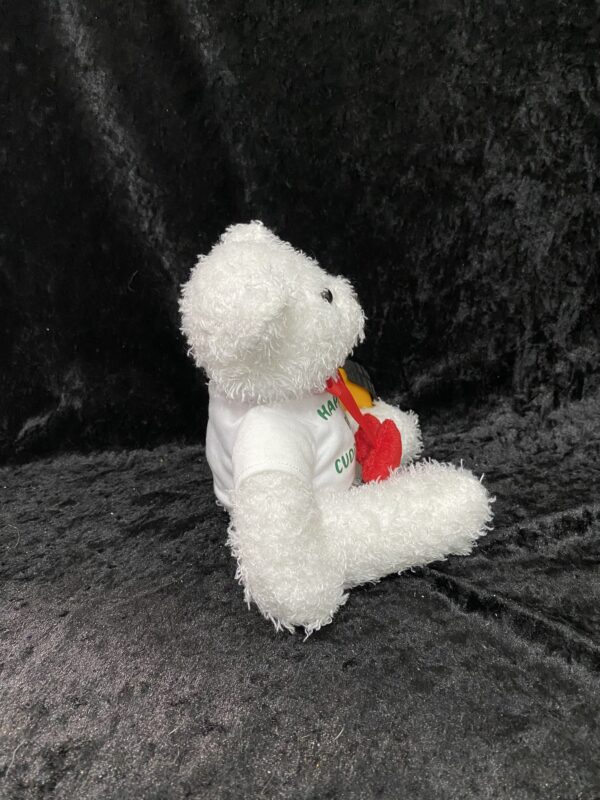 Teddy Bear - Image 3