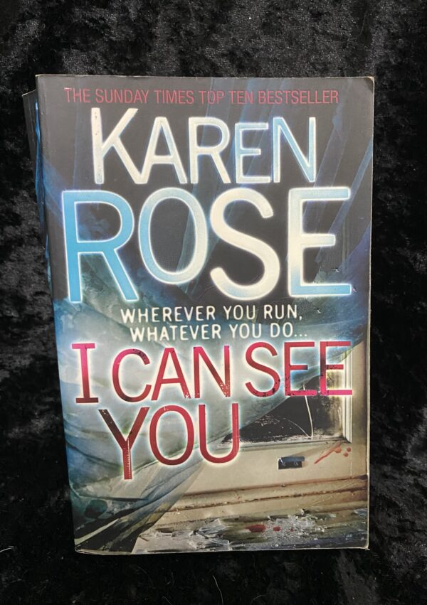 I Can See You by Karen Rose (Romantic Suspense #10)