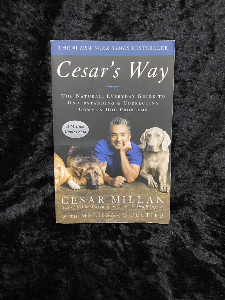 Cesar’s Way: The Natural, Everyday Guide to Understanding & Correcting Common Dog Problems by Cesar Millan