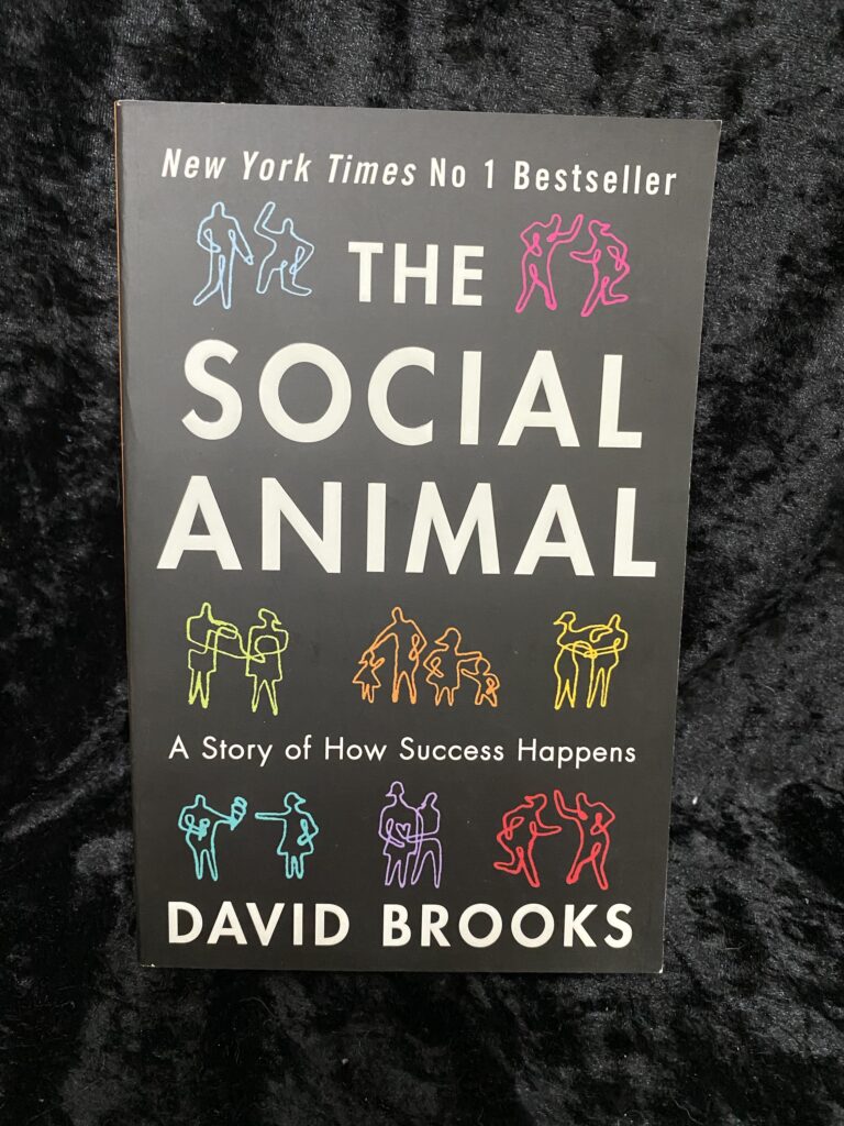 The Social Animal: The Hidden Sources of Love, Character, and Achievement by David Brooks