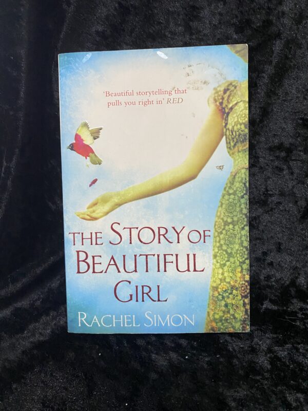 The Story of Beautiful Girl by Rachel Simon