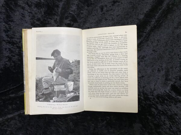Competent Angler by Bill Taylor - Image 8