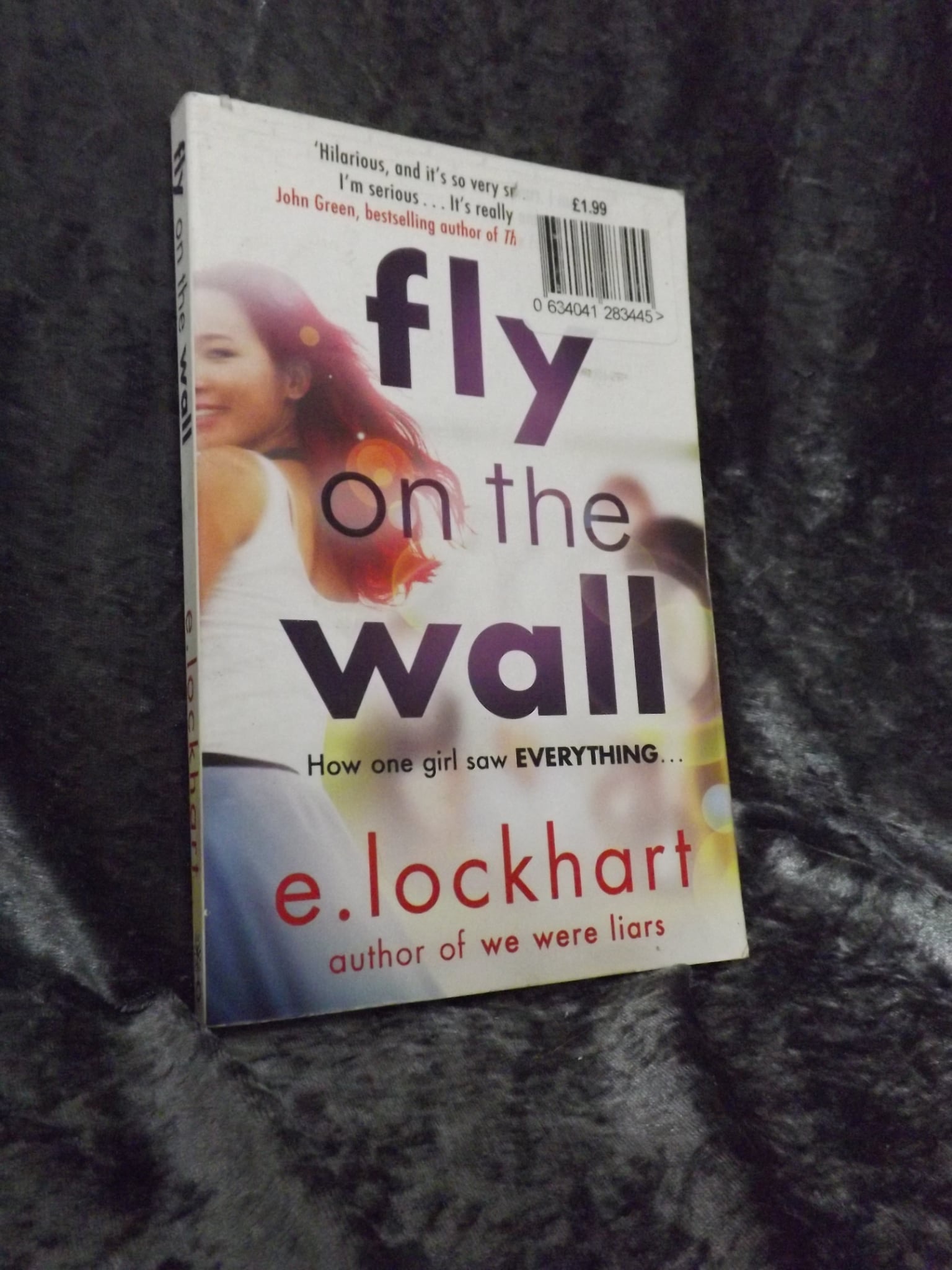 Fly on the Wall by E Lockhart