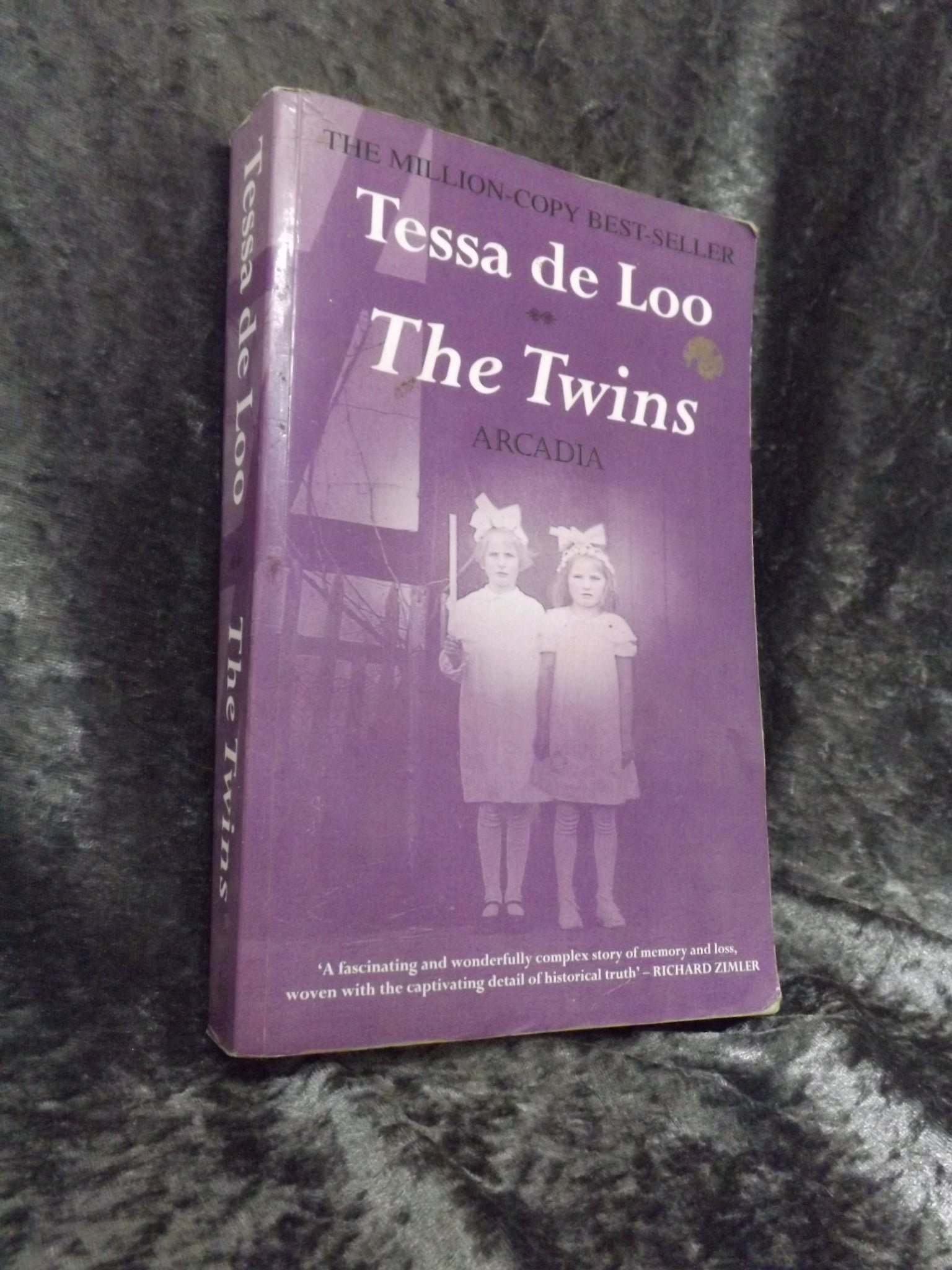 The Twins by Tessa de Loo