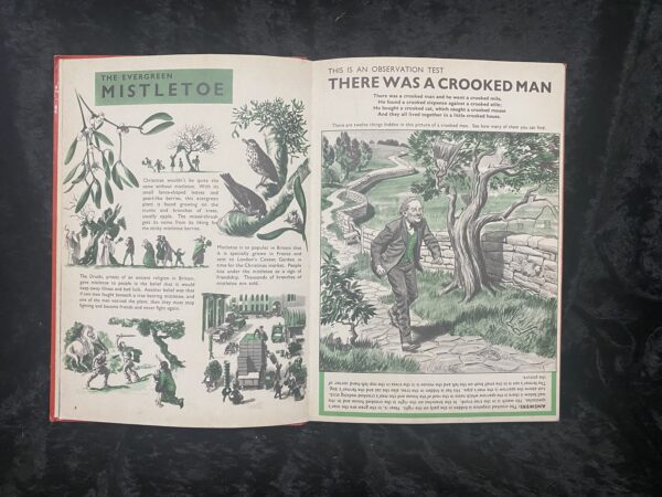 The Treasure Annual 1970 - Image 6