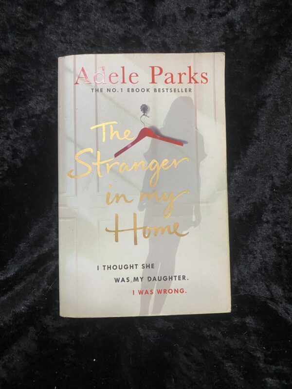 The Stranger in my Home by Adele Parks