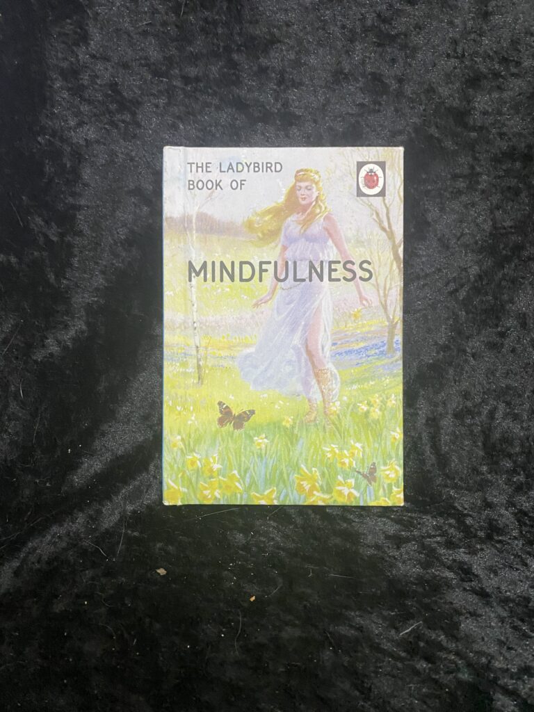 The Ladybird Book of Mindfulness (Ladybirds For Grown Ups)