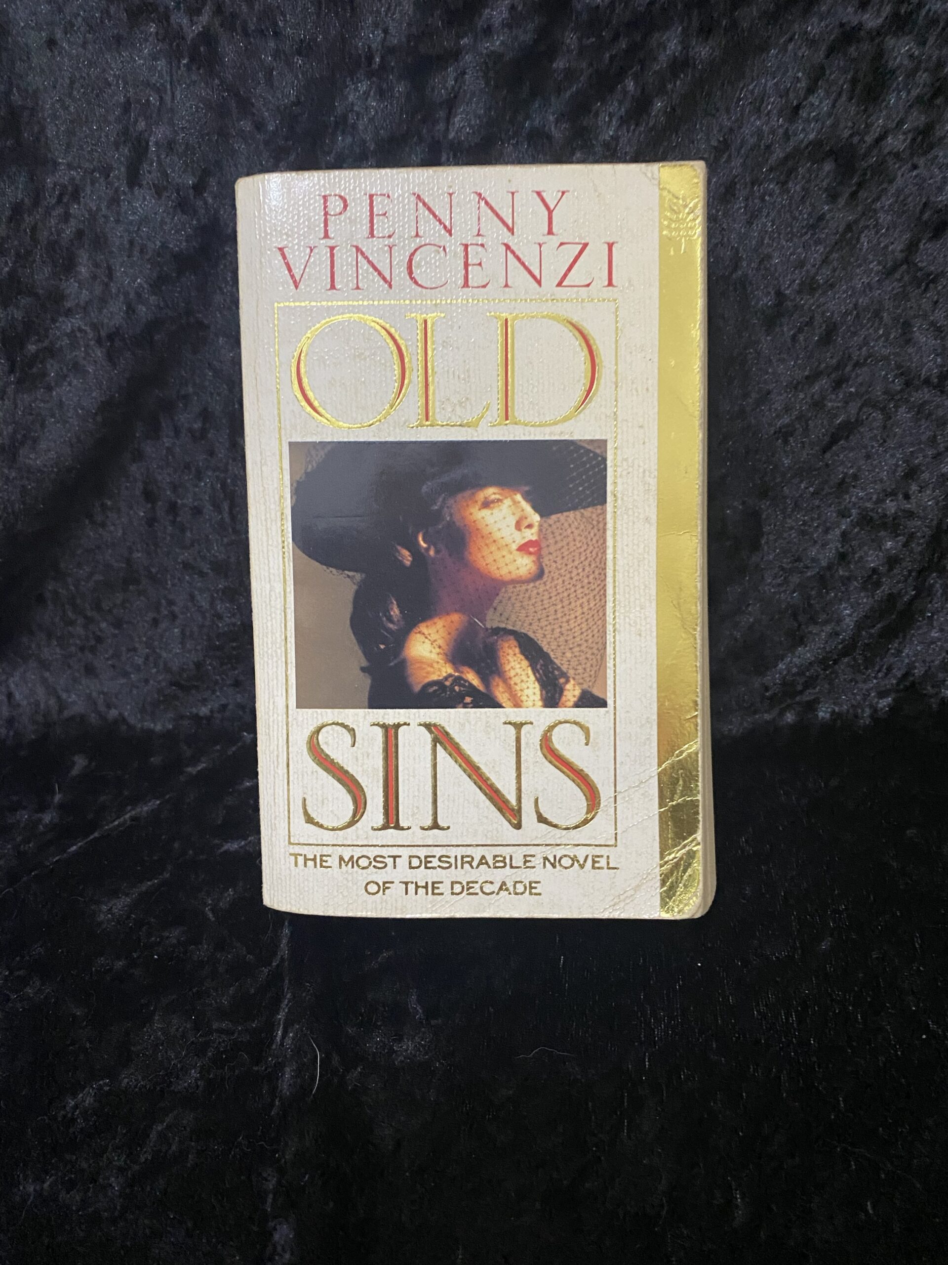 Old Sins by Penny Vincenzi