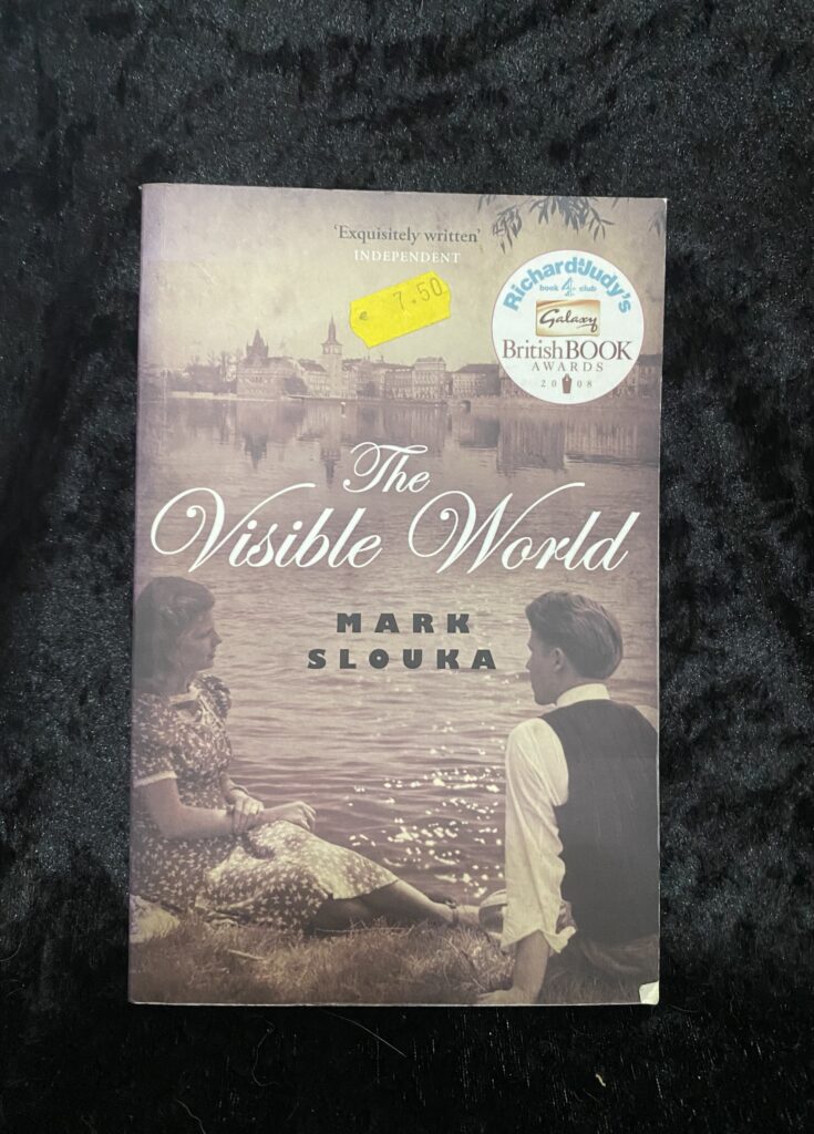 The Visible World by Mark Slouka