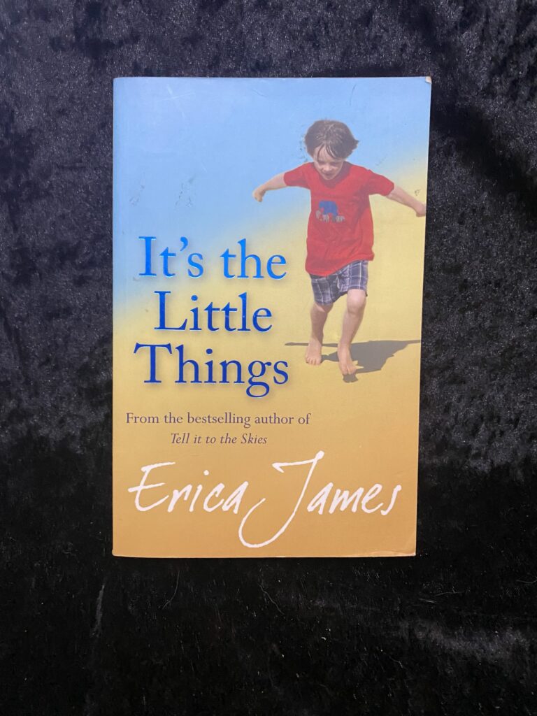 It’s The Little Things by Erica James