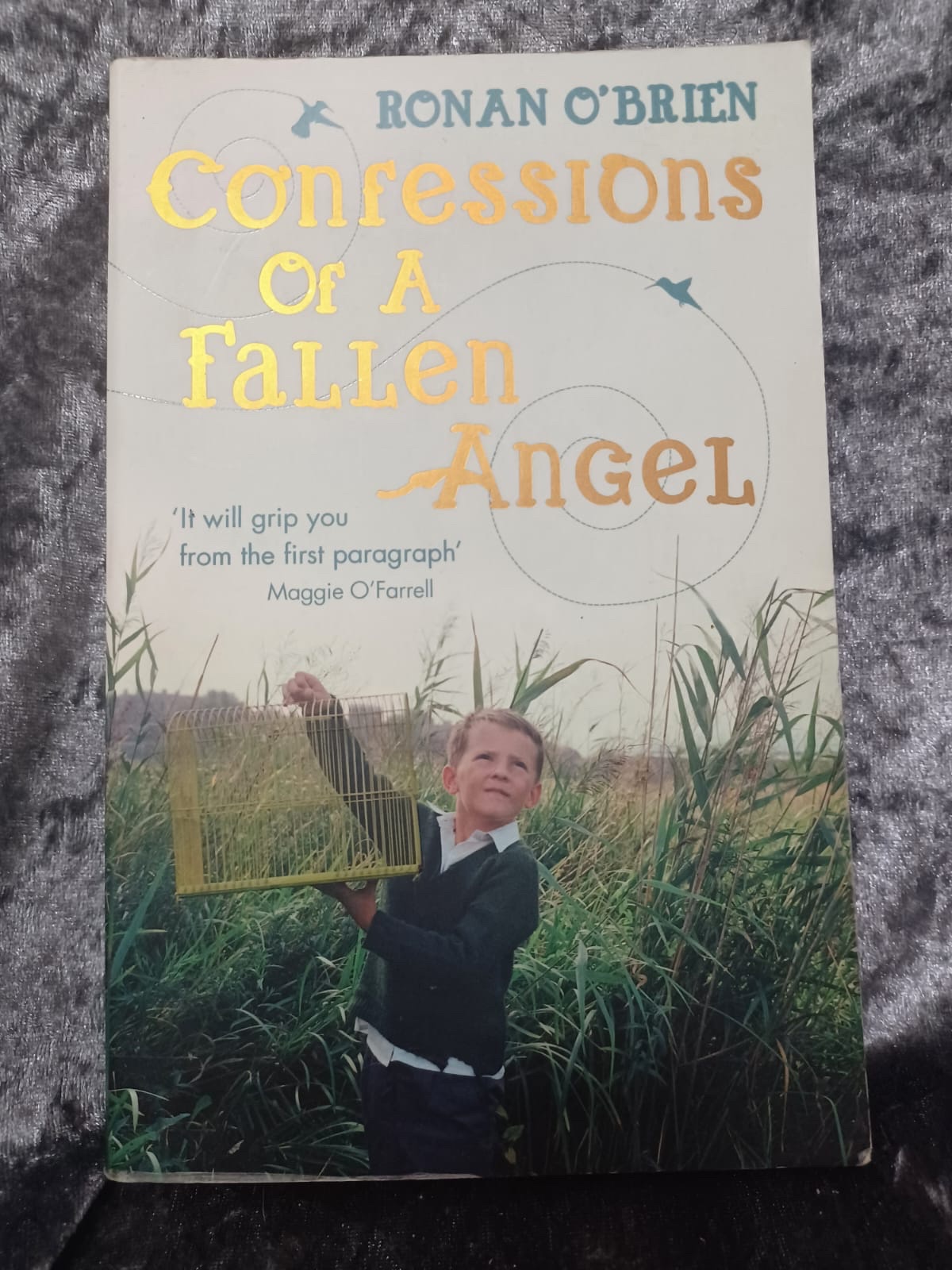 Confessions of a Fallen Angel by Ronan O’Brian