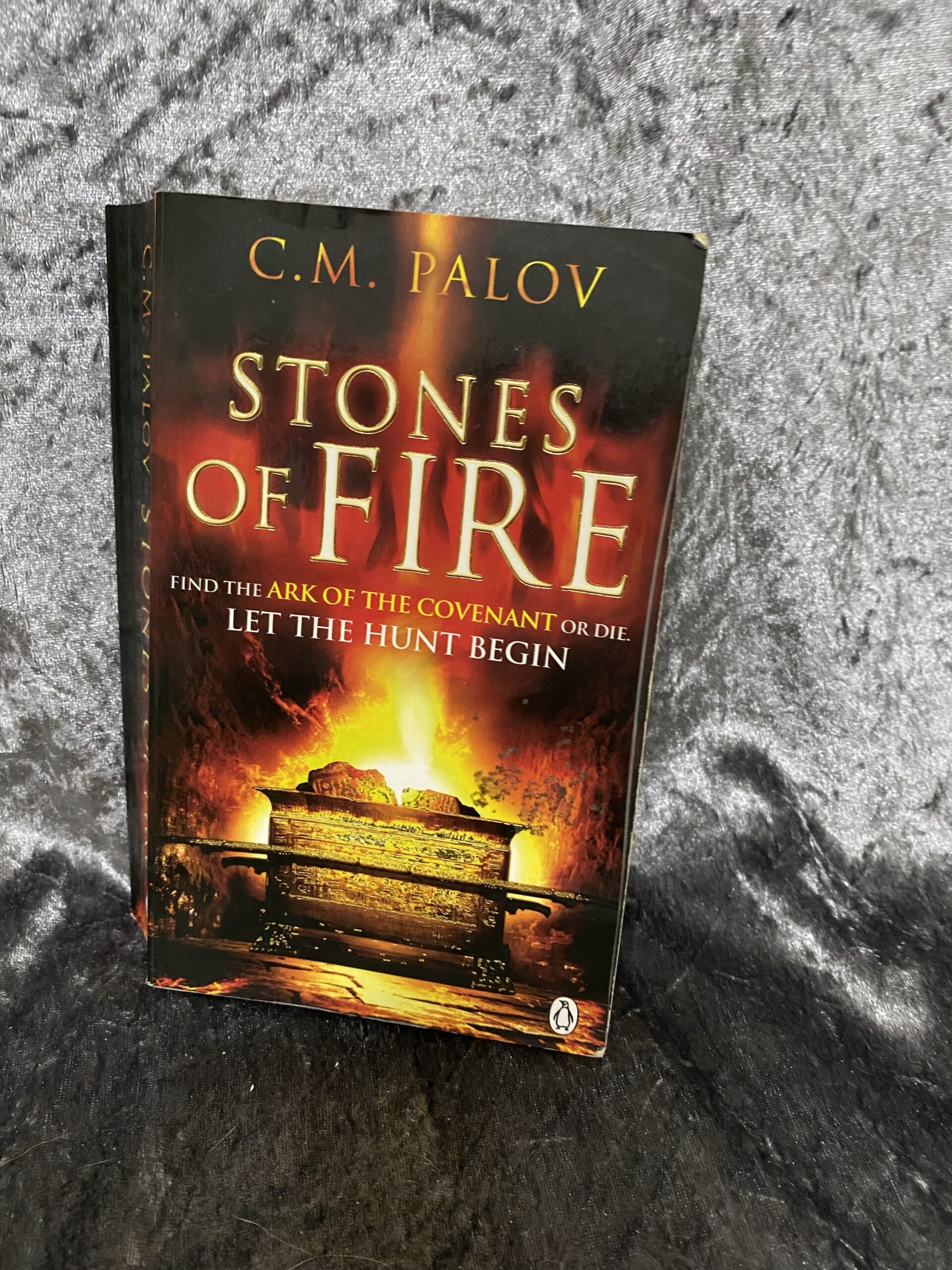 Stones of Fire by C M Palov (Caedmon Aisquith #1)