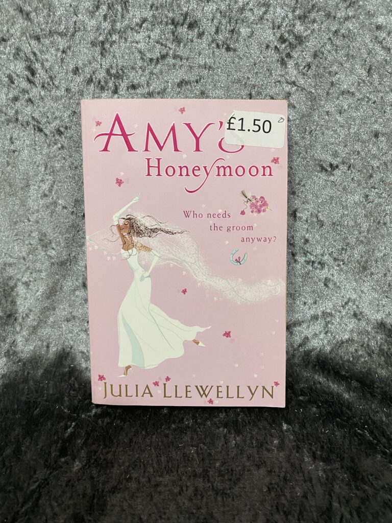 Amy’s Honeymoon by Julia Llewellyn
