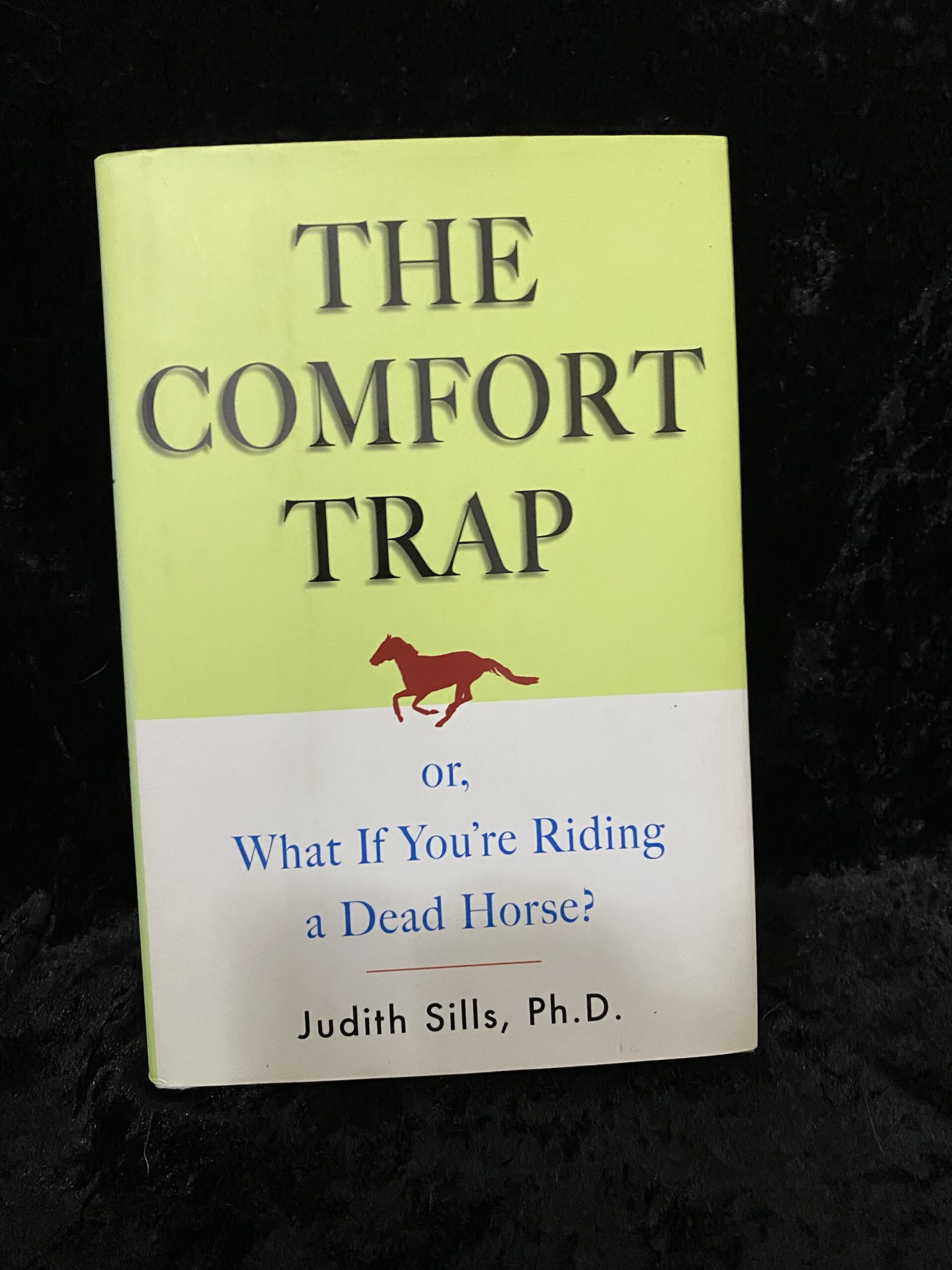The Comfort Trap by Judith Sills Phd