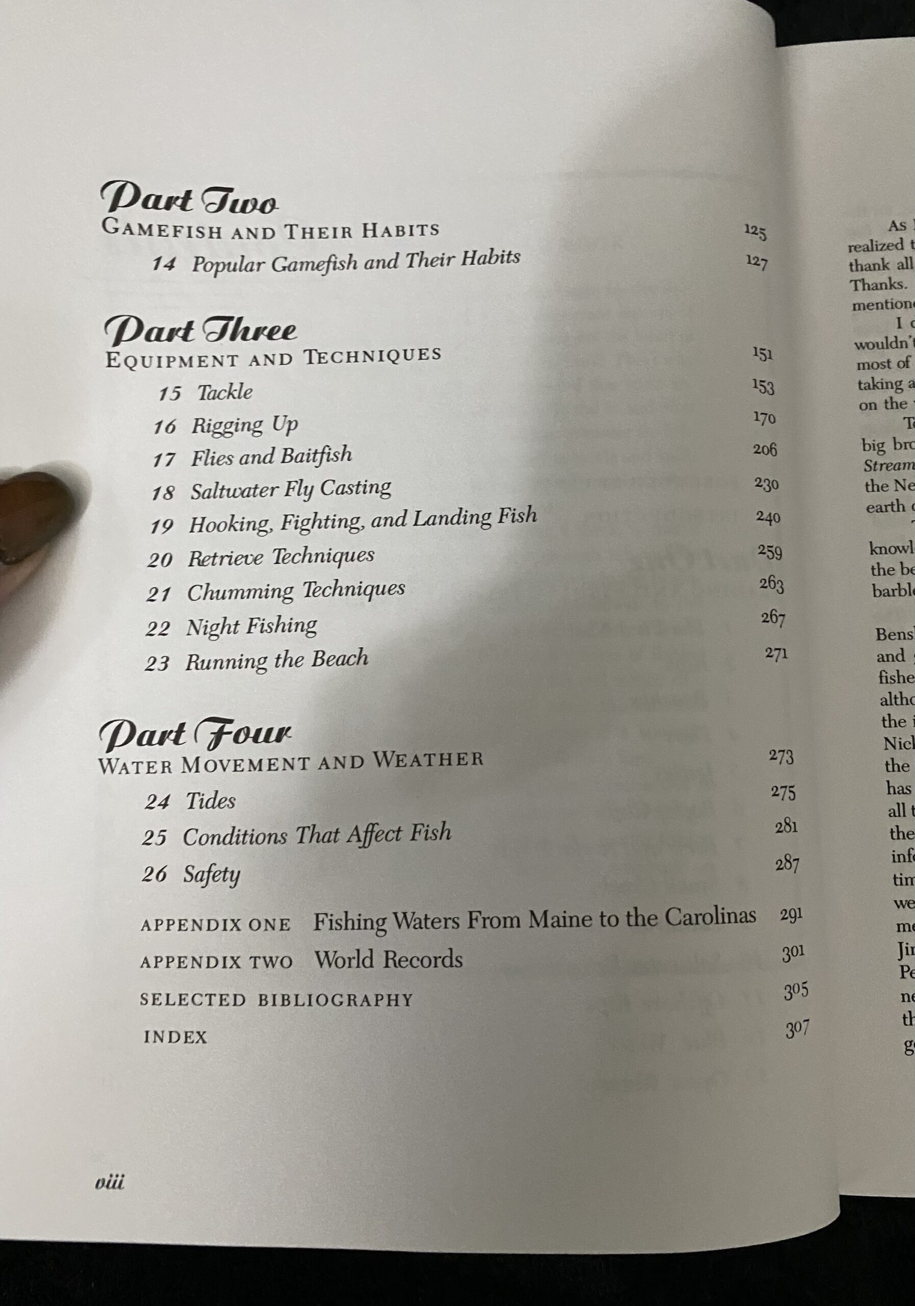 Inshore Fly Fishing by Lou Tabory - Image 3