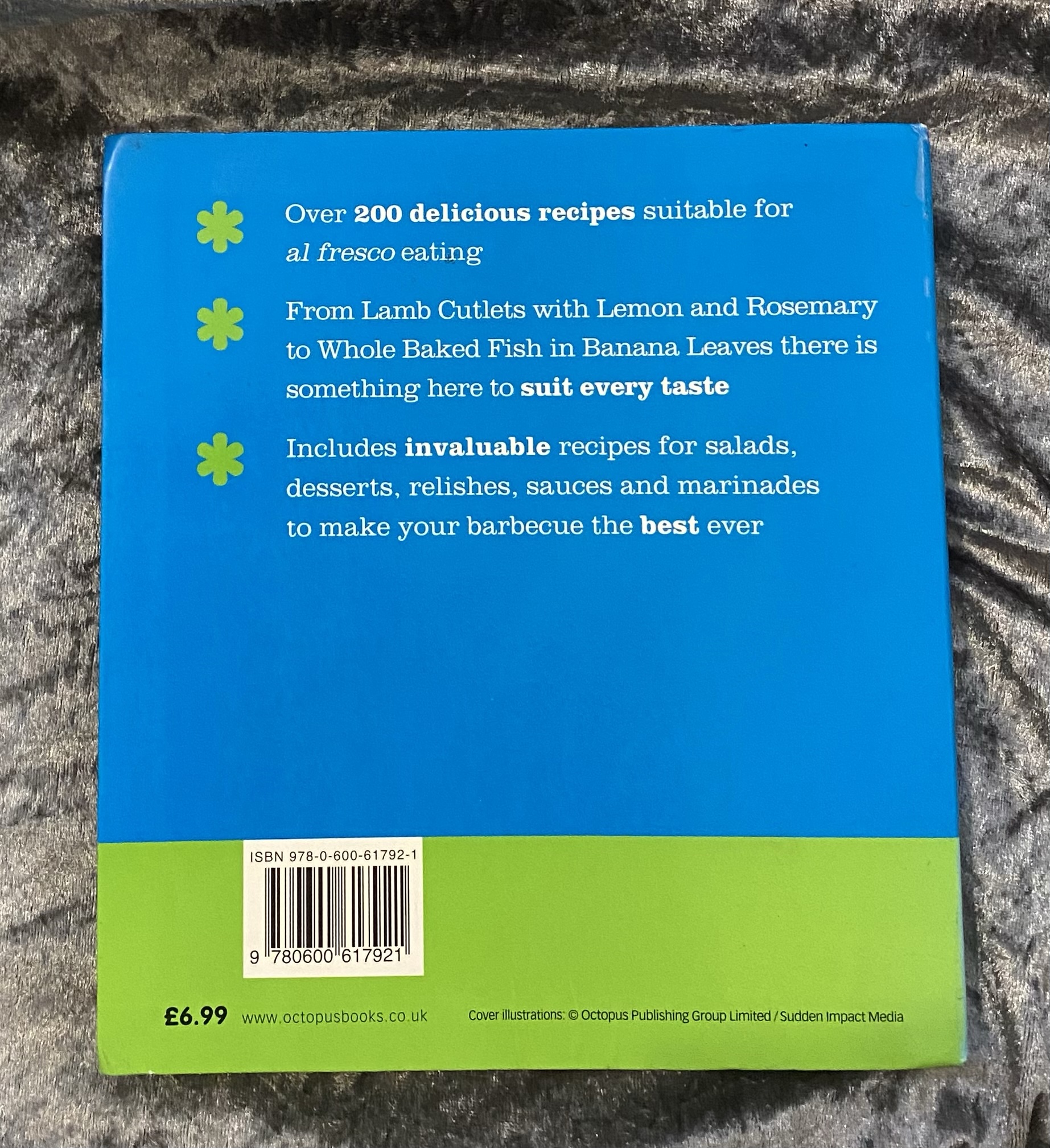 Barbecues: Over 200 great recipes From Hamlyn