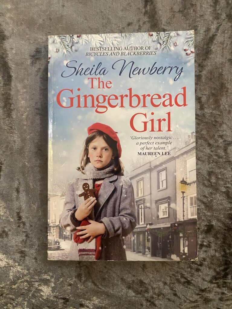 The Gingerbread Girl by Shiela Newberry