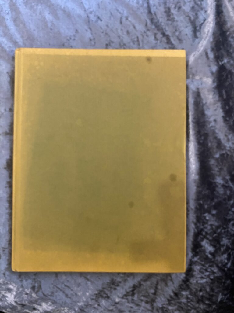 The New Compleat Angler by Stephen Downes & Illustrated by Martin Knowelden