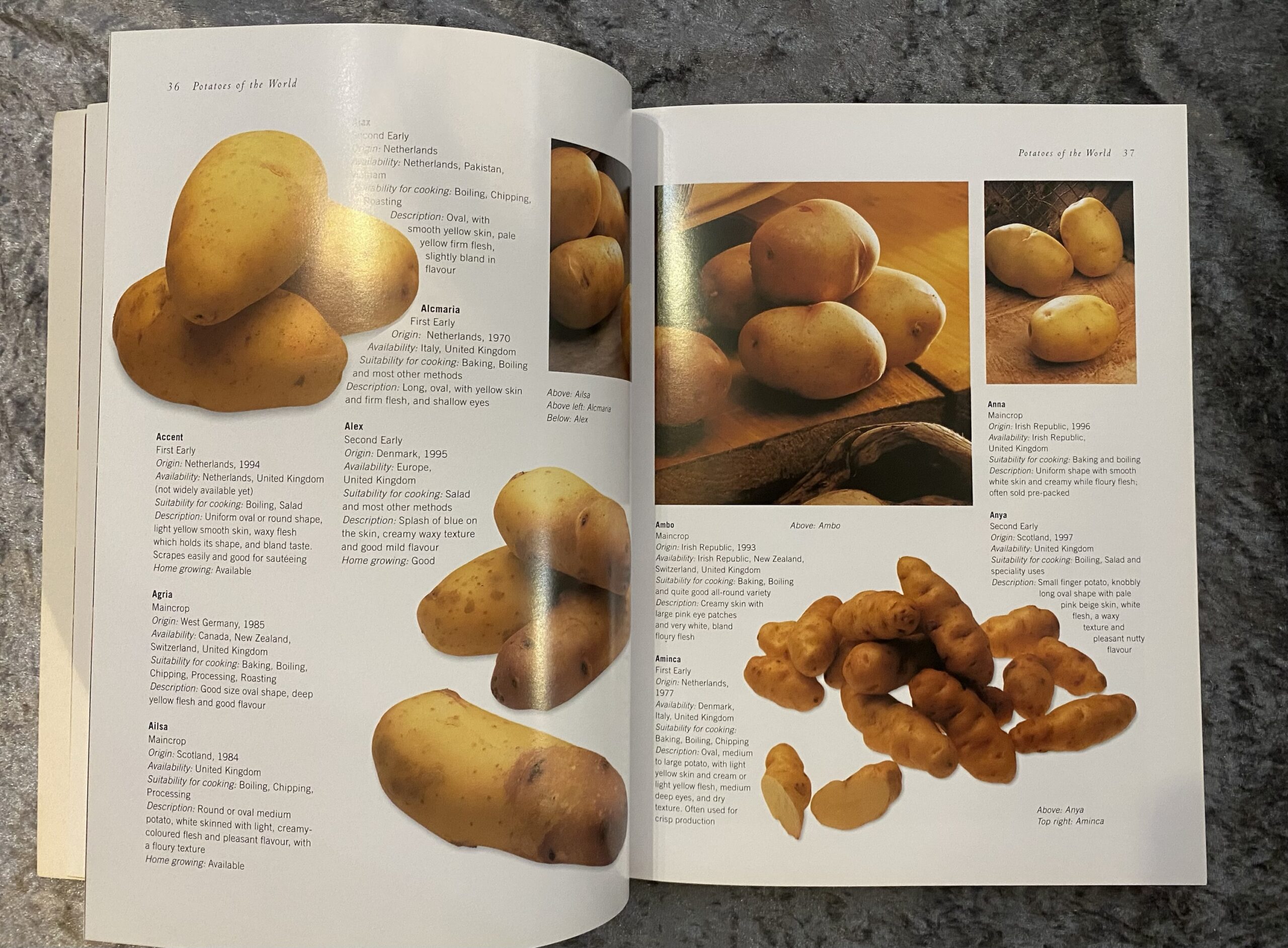Rice & Potato Cookbox - Image 11