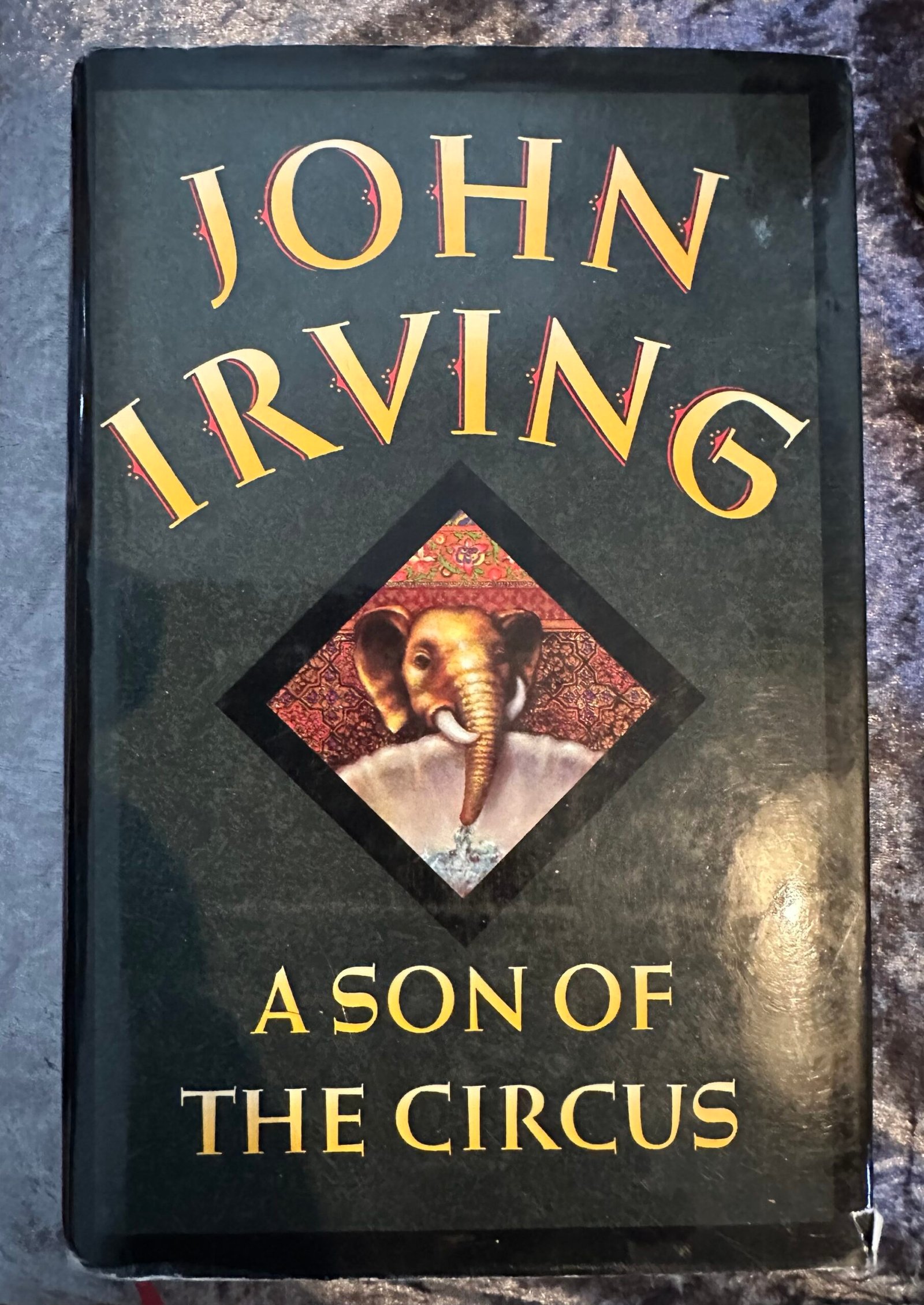 A Son of the Circus by John Irving