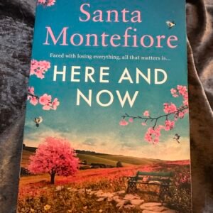 Here and Now by Santa Montefiore