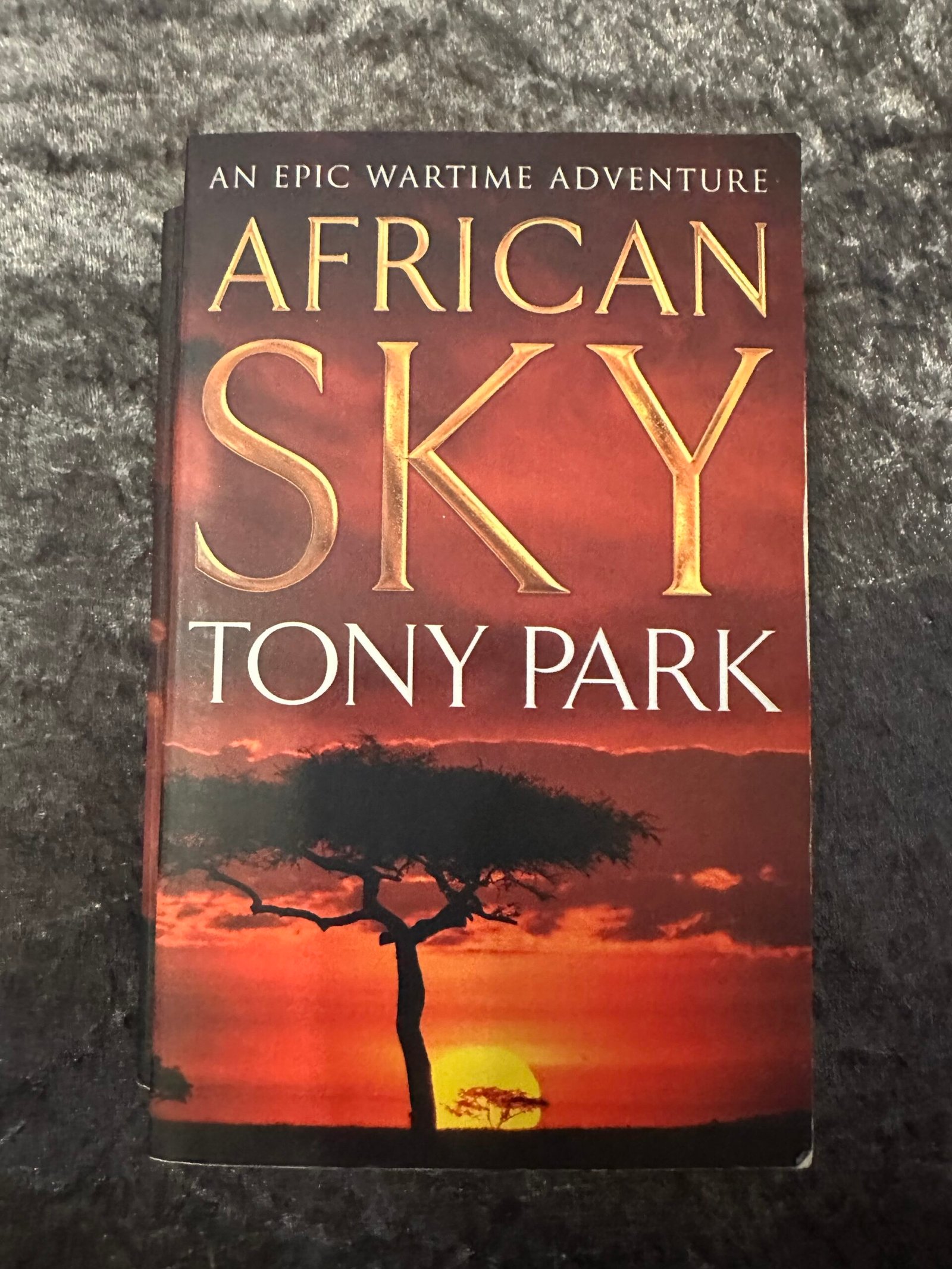African Sky by Tony Park (African Sky #1)